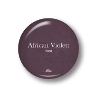 Trend African Violett