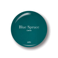 Creme Blue Spruce